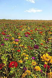 二战超英游戏《漫威1943：九头蛇崛起》正式官宣